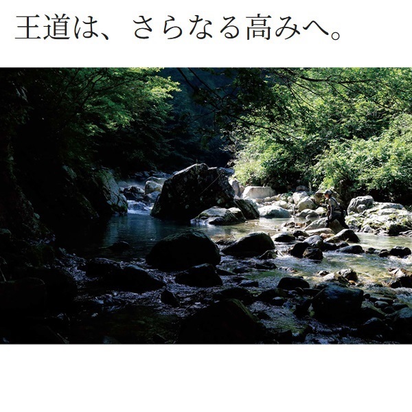 26渓流テンカラ
